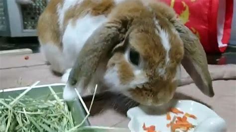 milfnut momswap|Taste It With The Tip .